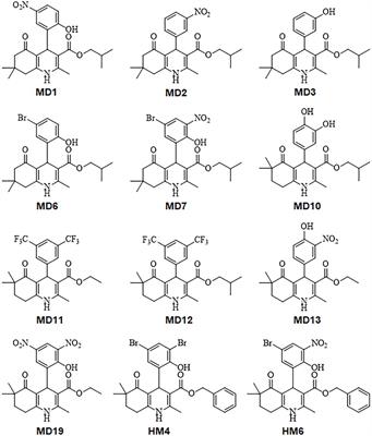 1,4-Dihydropyridine as a Promising Scaffold for Novel Antimicrobials Against Helicobacter pylori